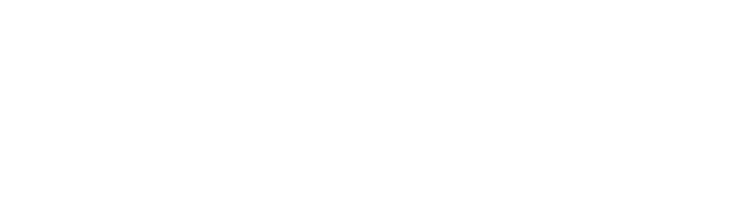Luis Pimentel - Estrategia & Gestao em Vendas